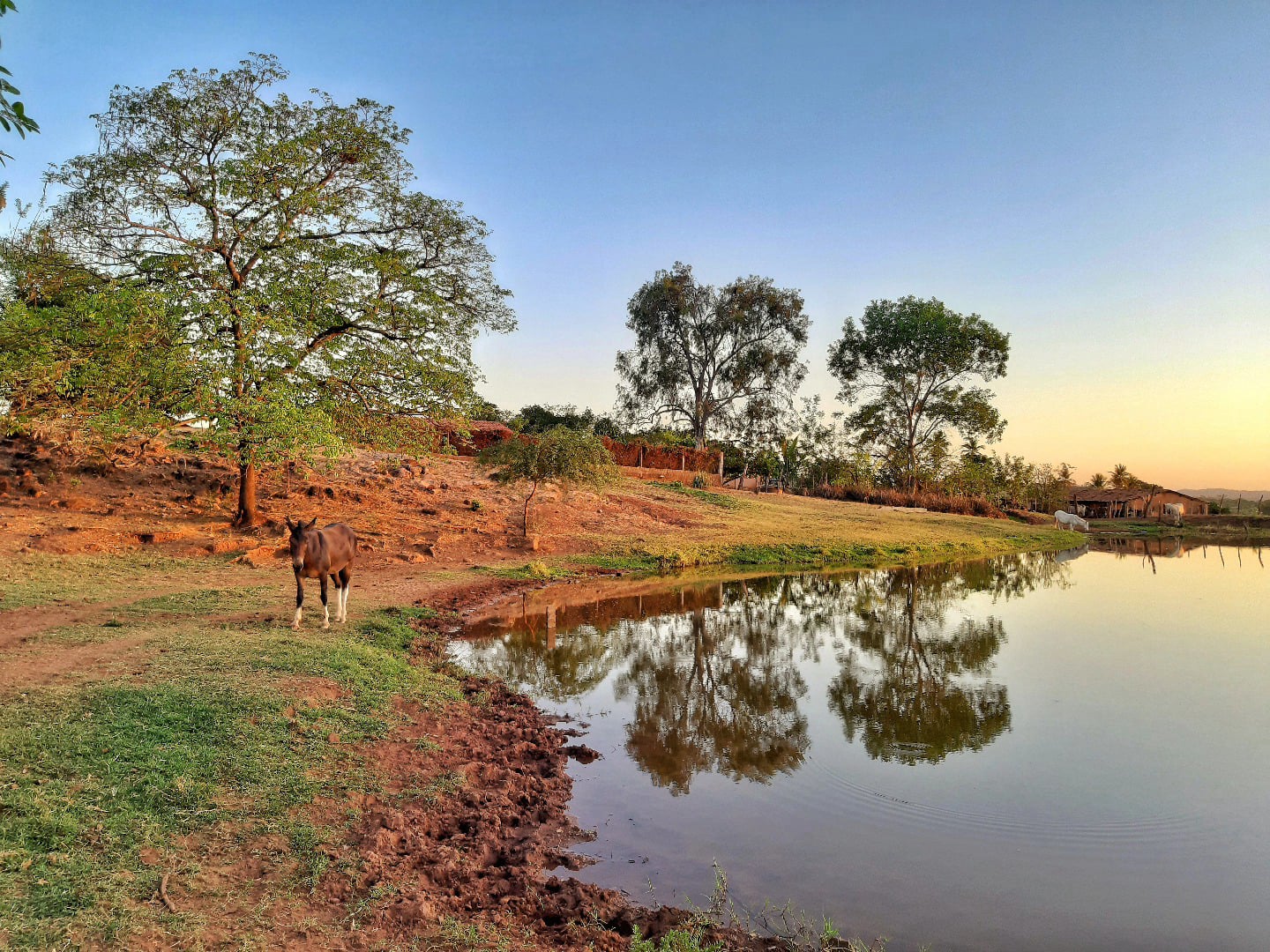 Açude e vegetação nativa do Sítio Gangorra, Abaiara (CE), ao entardecer